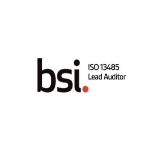 bsi auditor